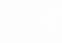 Selbstsozial-Logo_weiss-scaled.png